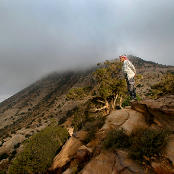 ダナ自然保護区&フェイナン
