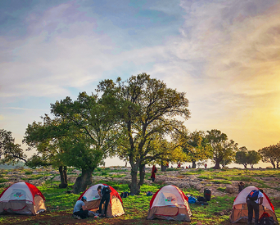 ウンム・カイス